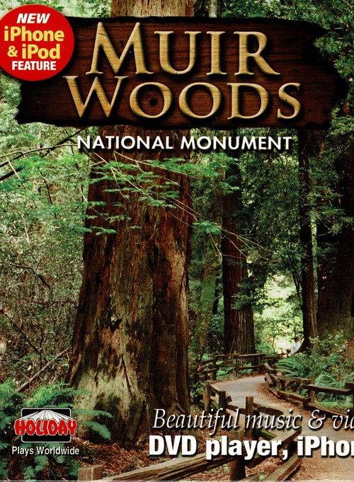 Muir Woods backdrop