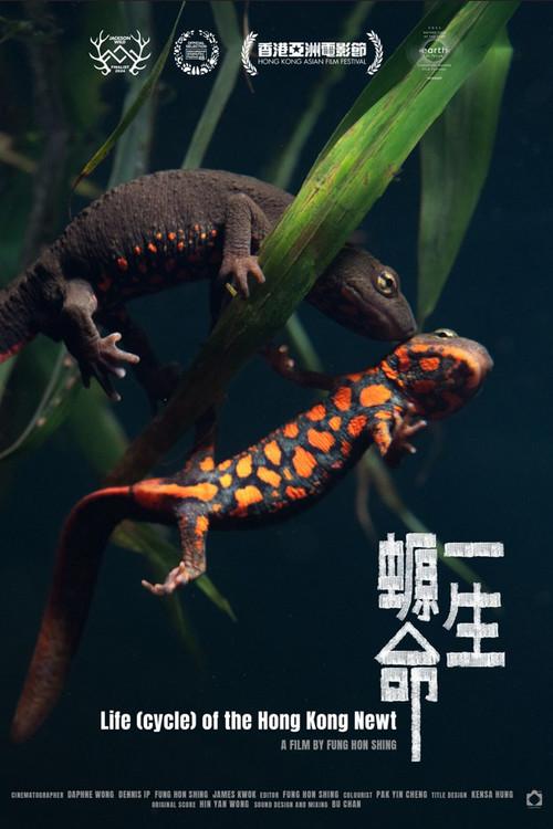 Life (cycle) of the Hong Kong Newt backdrop