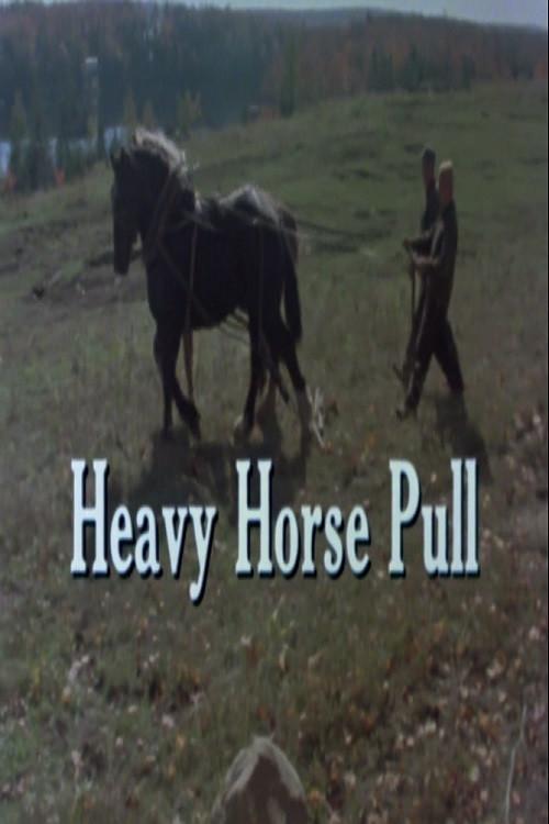 Heavy Horse Pull backdrop