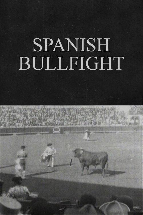 Spanish Bullfight backdrop