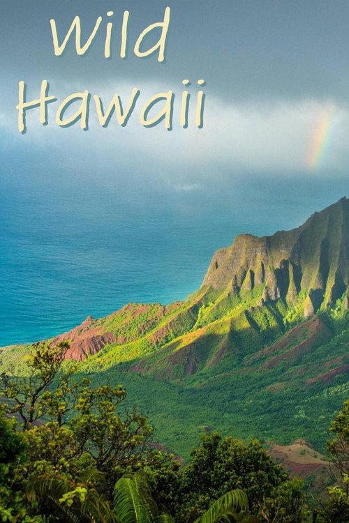 Wild Hawaii backdrop