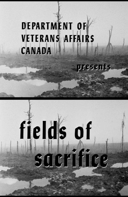 Fields of Sacrifice backdrop