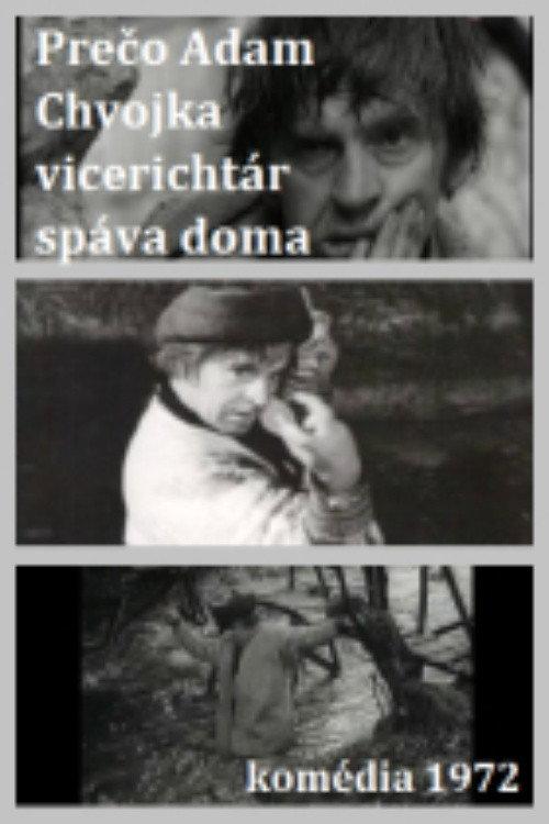 Adam Chvojka vicerichtár backdrop