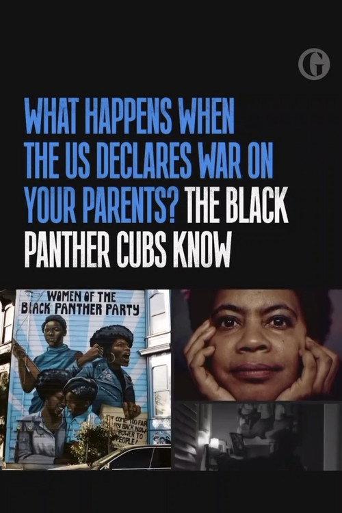 The Black Panther Cubs: when the revolution doesn't come backdrop