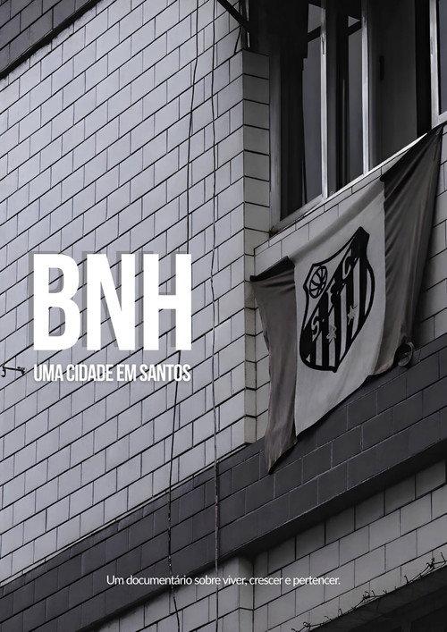 BNH: Uma Cidade em Santos backdrop