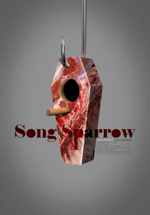 Song Sparrow backdrop