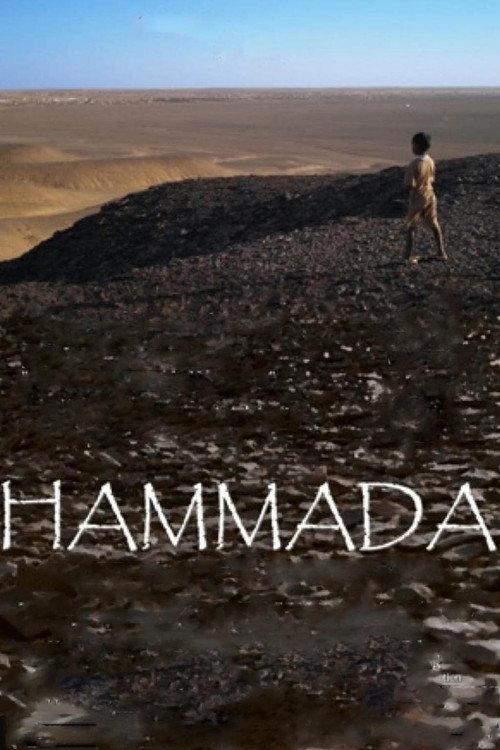 Hammada backdrop