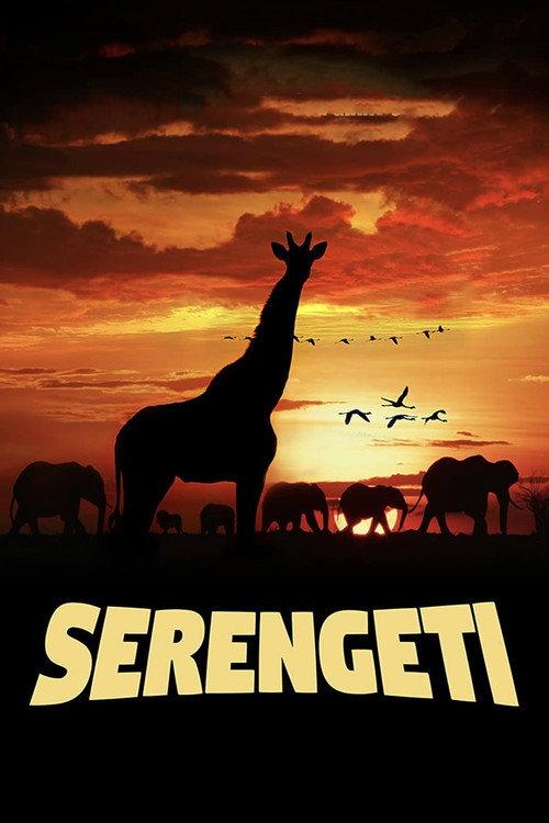 Serengeti backdrop