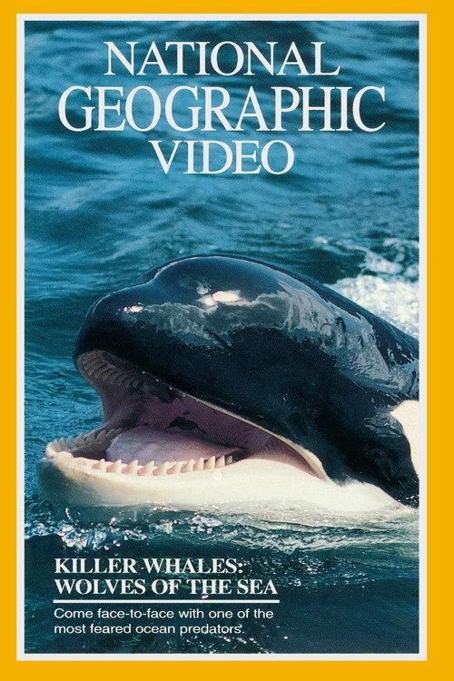 Killer Whales: Wolves of the Sea backdrop