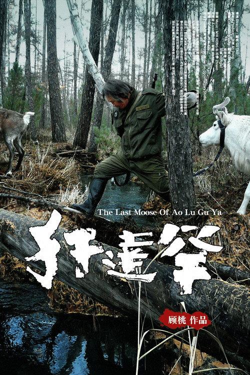 The Last Moose Of Ao Lu Gu Ya backdrop