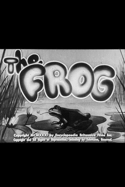 The Frog backdrop