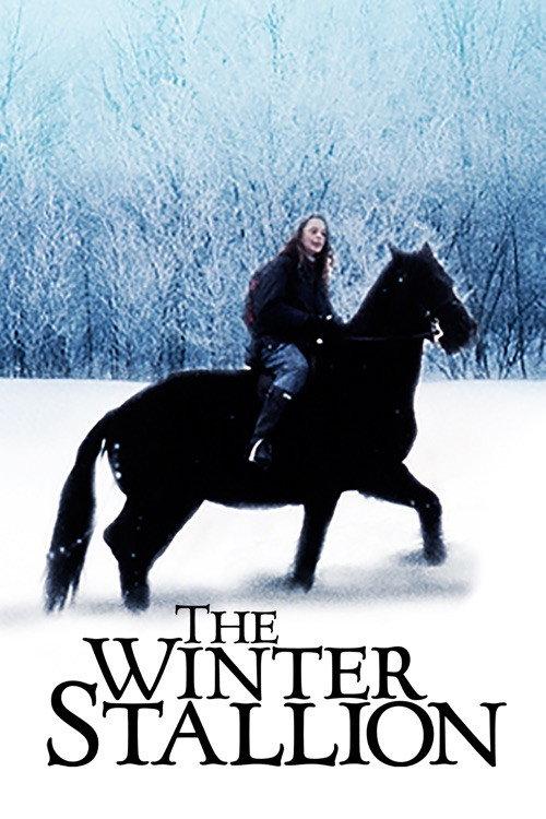 The Winter Stallion backdrop