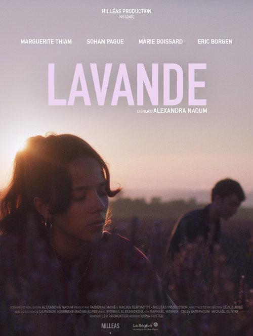 Lavande backdrop