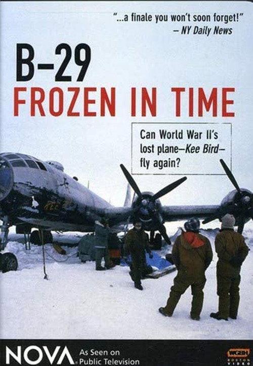 B-29 Frozen in Time backdrop