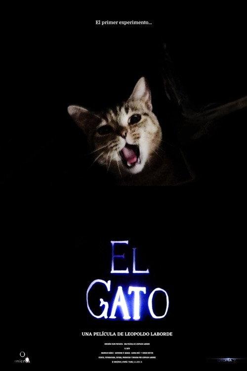 El gato backdrop
