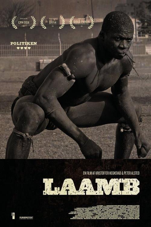 Laamb backdrop