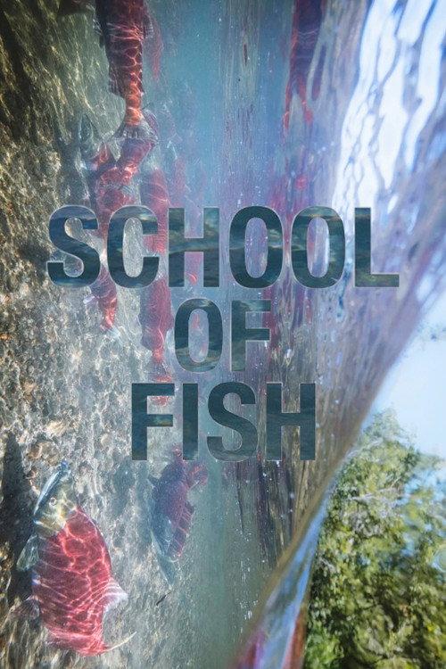 School of Fish backdrop