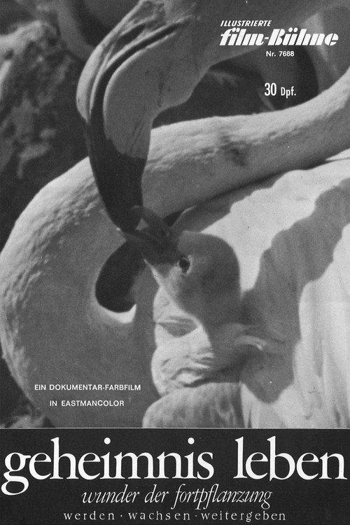 Geheimnis Leben - Wunder der Fortpflanzung backdrop