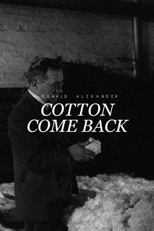 Cotton Come Back backdrop