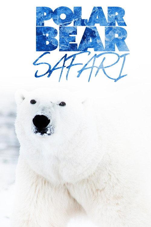 Polar Bear Safari backdrop