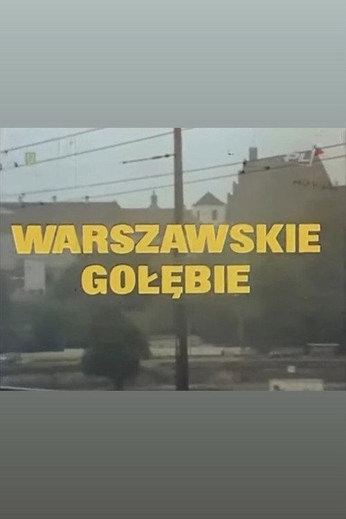 Warszawskie gołębie backdrop