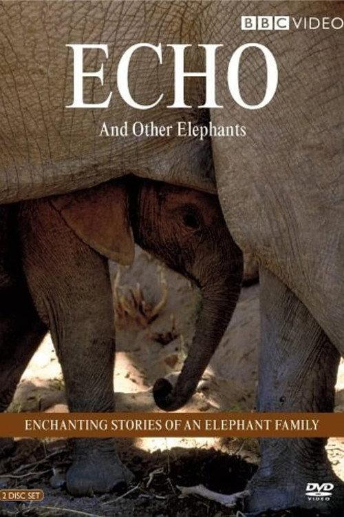 Echo and Other Elephants backdrop