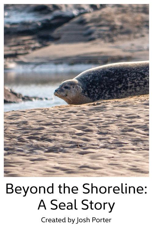 Beyond the Shoreline: A Seal Story backdrop