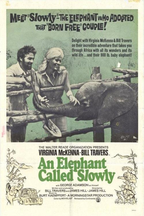 An Elephant Called Slowly backdrop