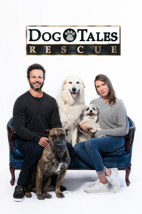 Dog Tales Rescue backdrop