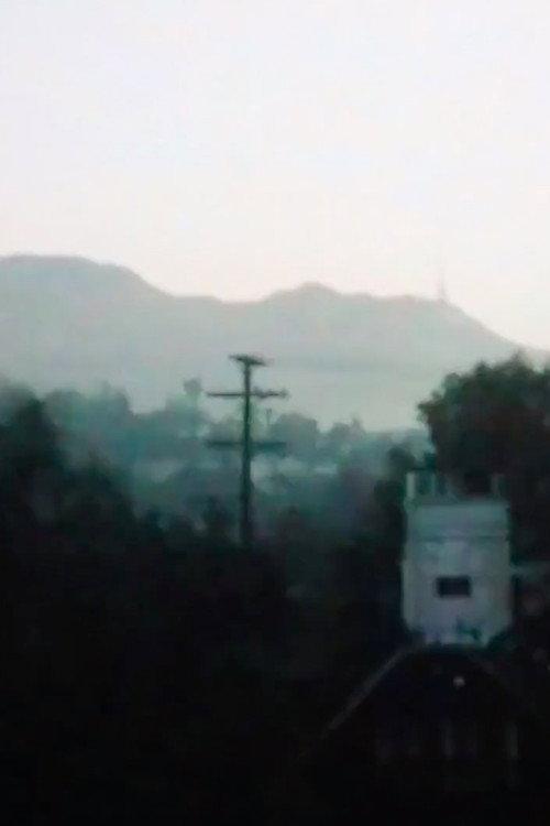 Twelve Years over Hollywood backdrop