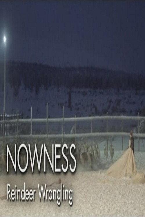 Untold Odyssey: Reindeer Wrangling backdrop