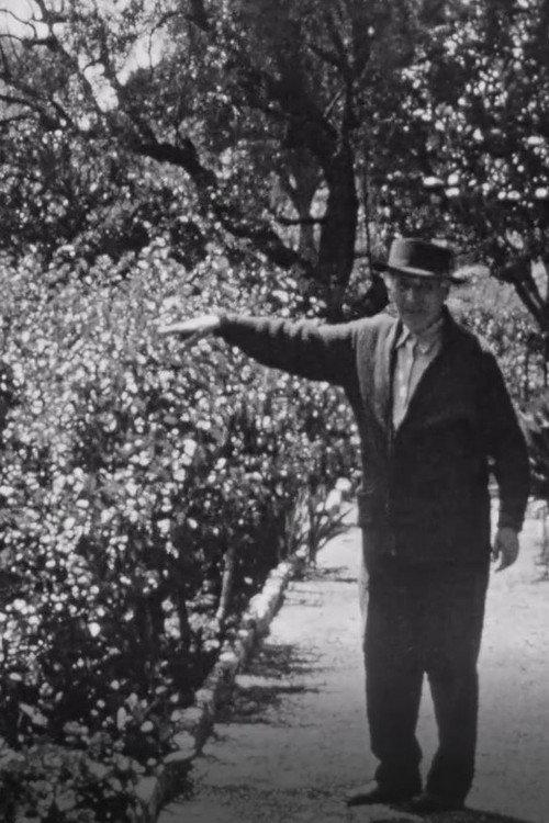 Chagall dans son jardin a Saint-Paul-de-Vence backdrop