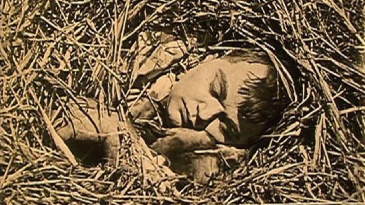 The Hayseed backdrop