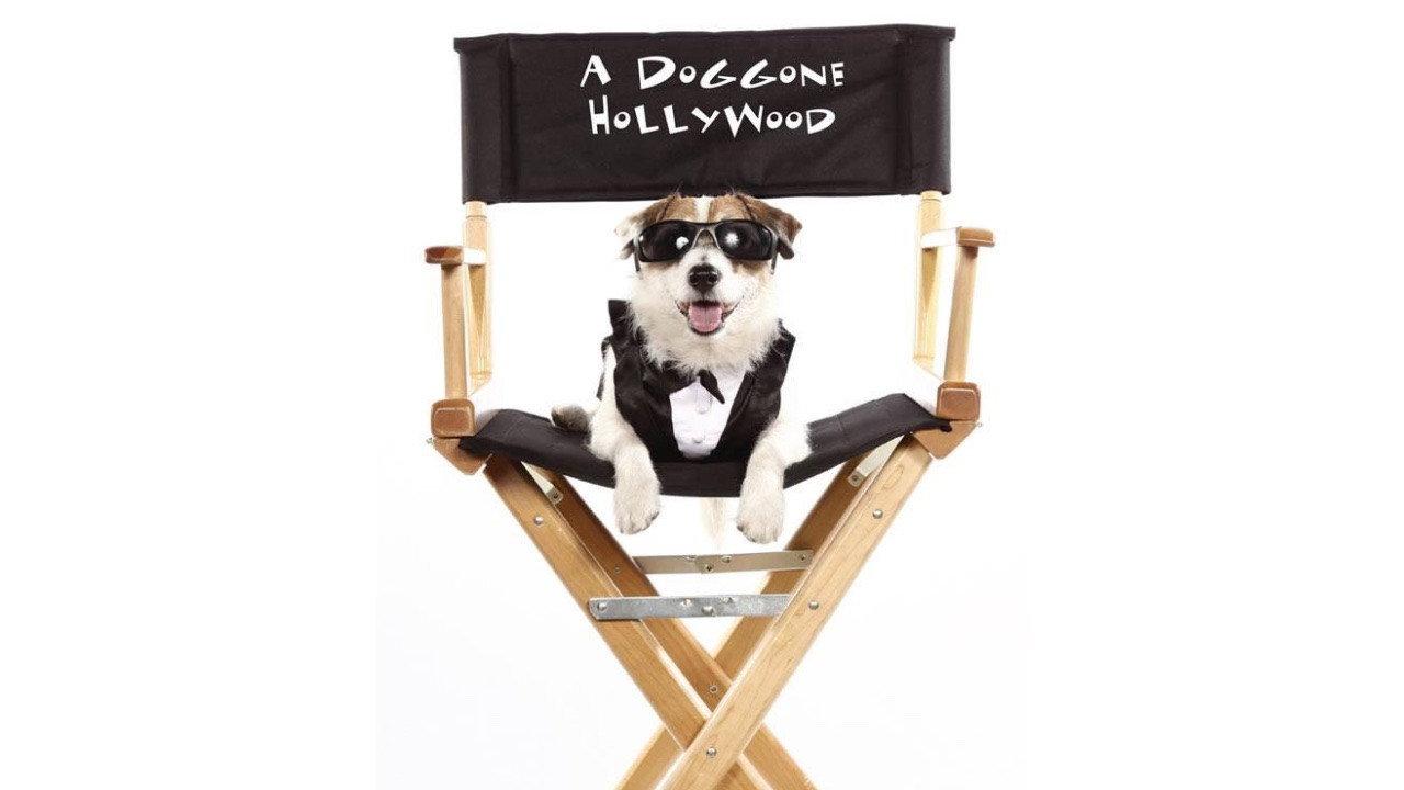 A Doggone Hollywood backdrop