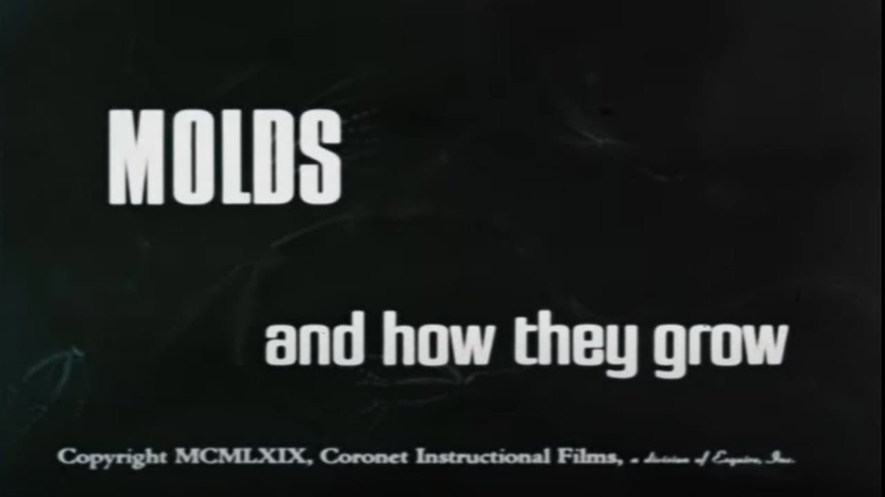 Molds and How They Grow backdrop