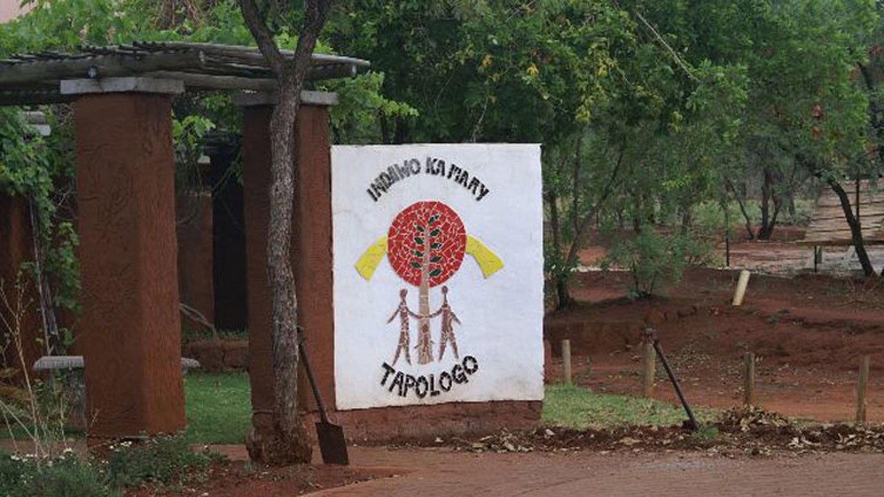 Tapologo backdrop