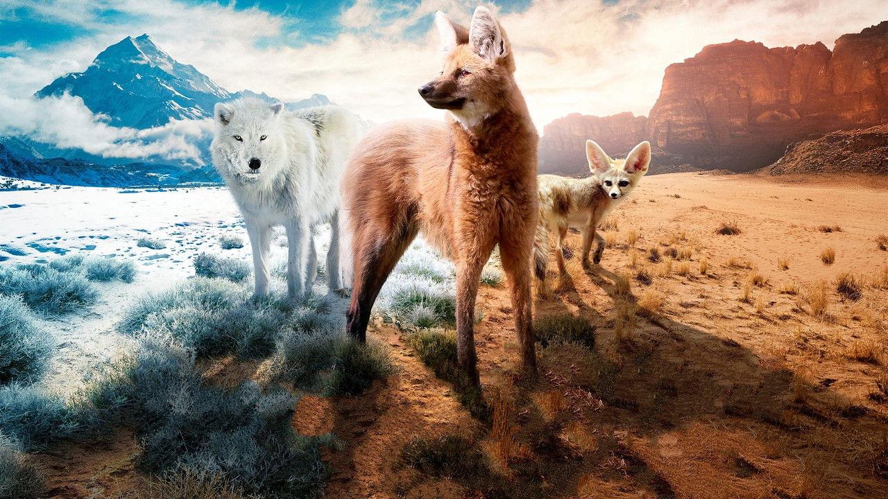 Dogs in the Wild: Meet the Family backdrop