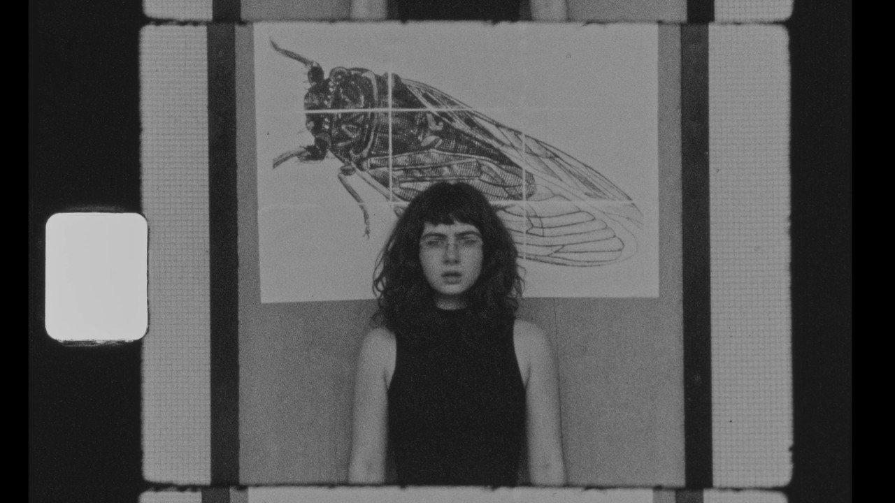 Mania backdrop