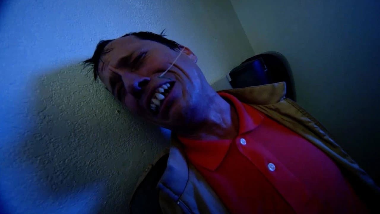 Rottentail backdrop