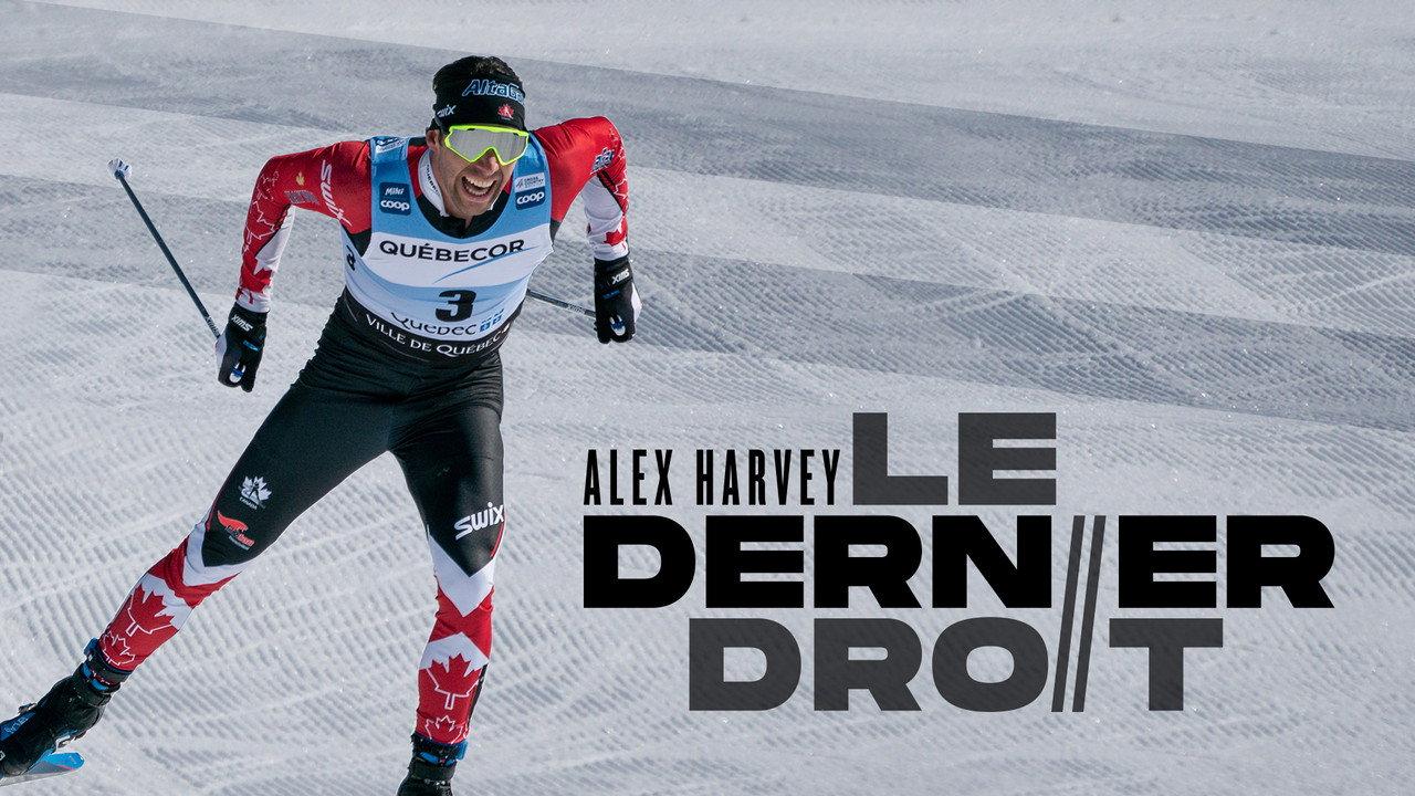Alex Harvey : le dernier droit backdrop