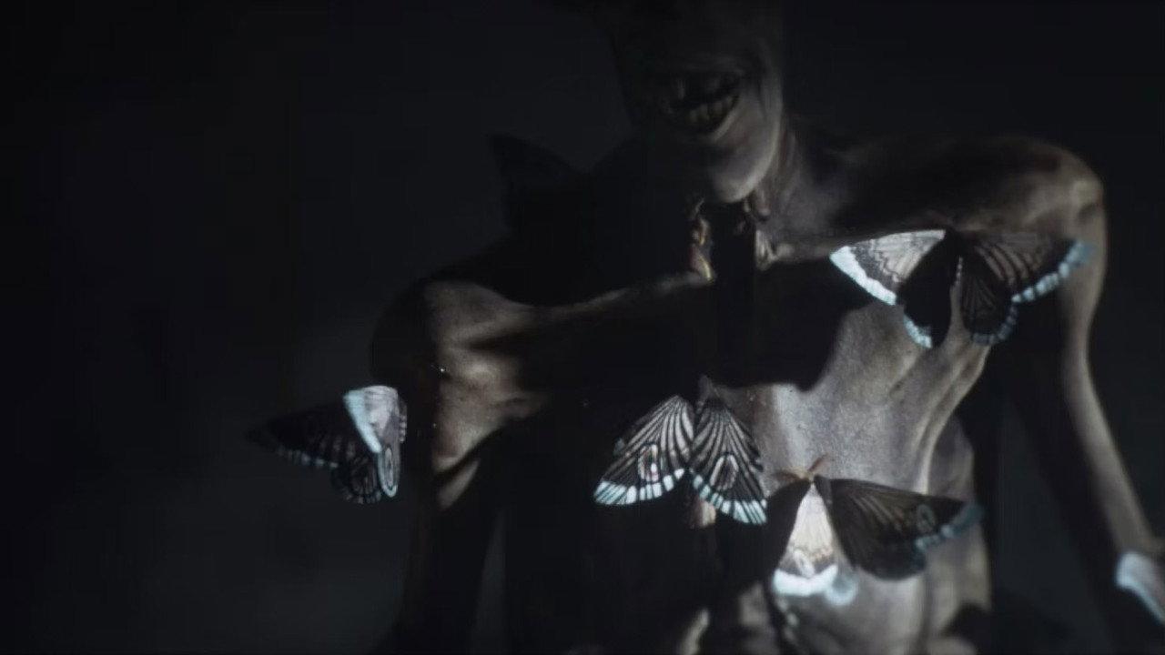Moths backdrop