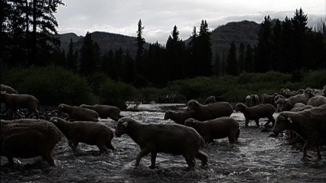 Hell Roaring Creek backdrop