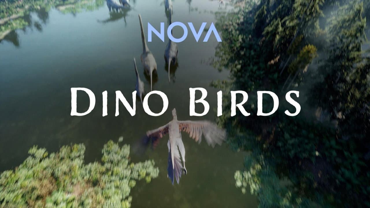 Dino Birds backdrop