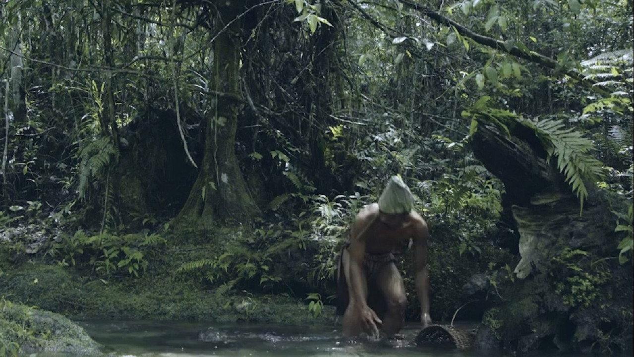 Wailings in the Forest backdrop