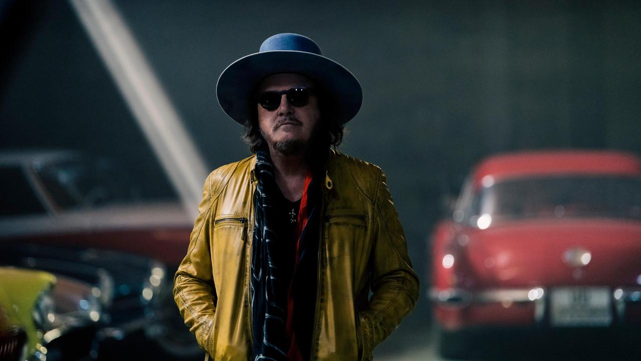Zucchero | Sugar Fornaciari backdrop