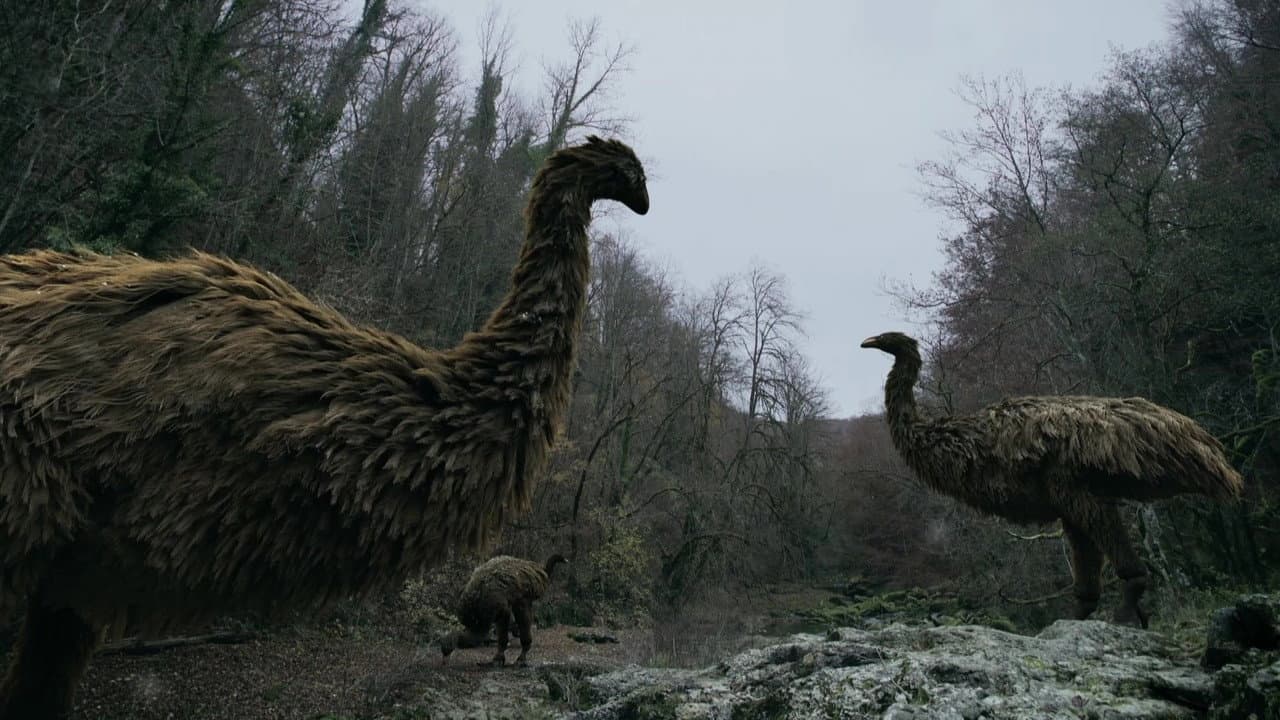 Mystery of the Giant Birds backdrop