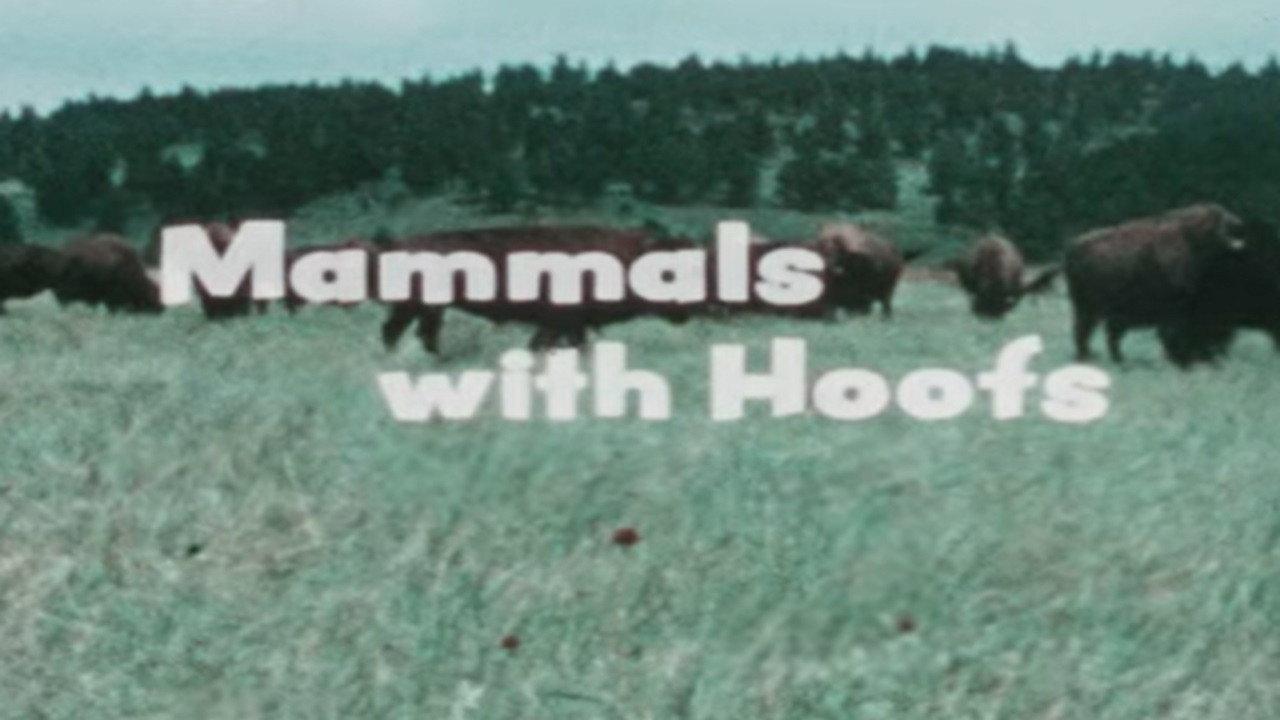 Mammals With Hoofs backdrop