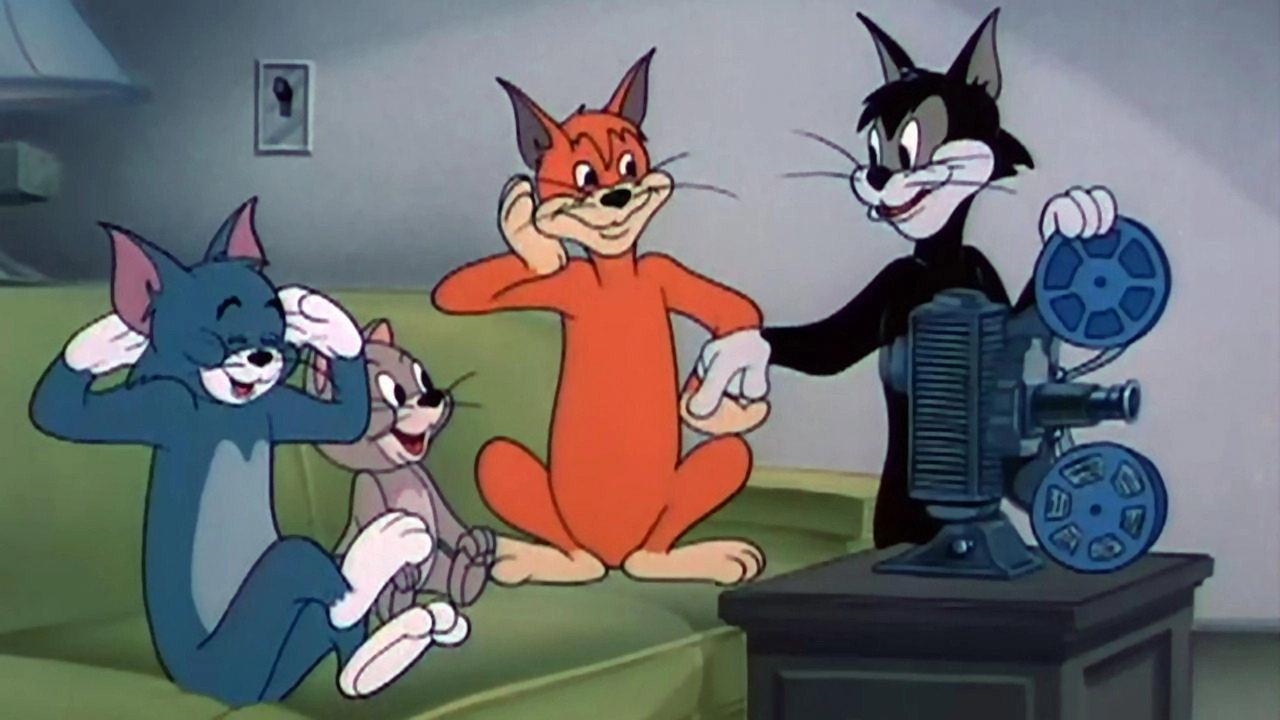 Smarty Cat backdrop