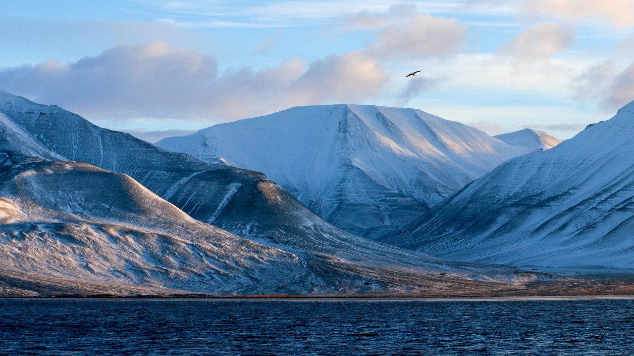 Na vlastní nohy backdrop