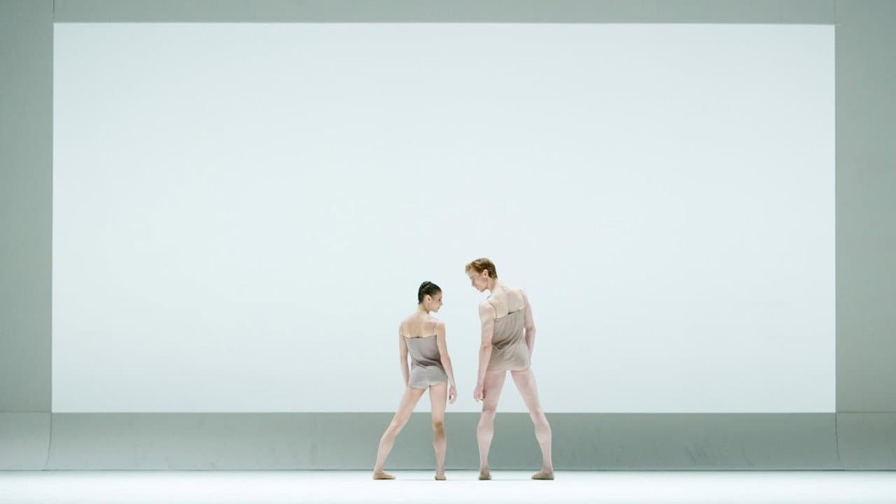 McGregor: Chroma / Infra / Limen backdrop